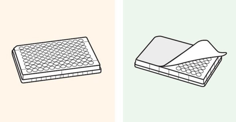 the-essential-role-of-96-well-plates-and-elisa-plates-in-modern-laboratories