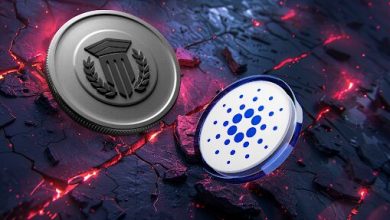 is-this-budget-friendly-altcoin-the-next-cardano?-meet-mutuum-finance-(mutm)