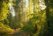 digital-detox:-dr.-gregory-duhon,-md,-on-reclaiming-focus-in-a-hyperconnected-world