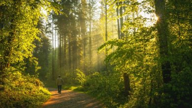 digital-detox:-dr.-gregory-duhon,-md,-on-reclaiming-focus-in-a-hyperconnected-world