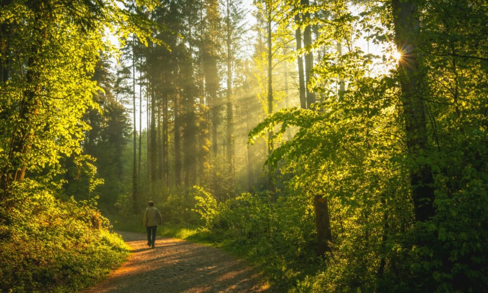digital-detox:-dr.-gregory-duhon,-md,-on-reclaiming-focus-in-a-hyperconnected-world