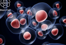 the-future-of-healing:-understanding-the-promise-and-limits-of-stem-cell-therapy