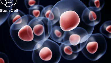 the-future-of-healing:-understanding-the-promise-and-limits-of-stem-cell-therapy