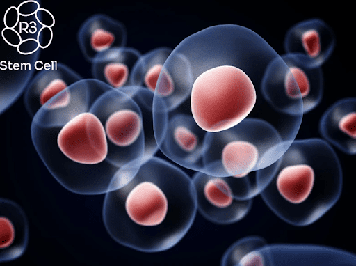 the-future-of-healing:-understanding-the-promise-and-limits-of-stem-cell-therapy